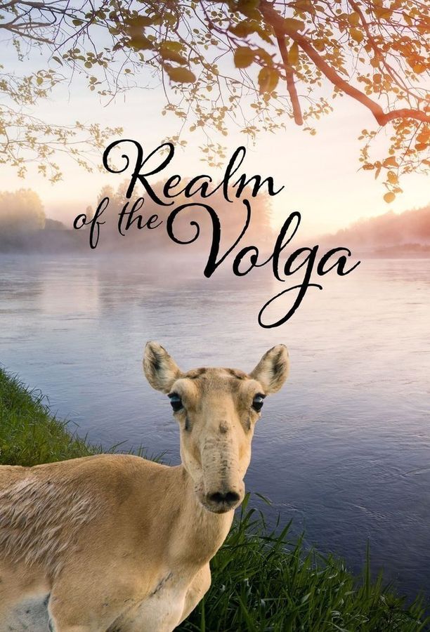 Realm of the Volga    第⁨一⁩季
    Im Reich der Wolga (2019)