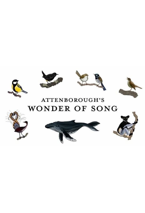爱登堡与美妙歌声Attenborough's Wonder of Song (2022)