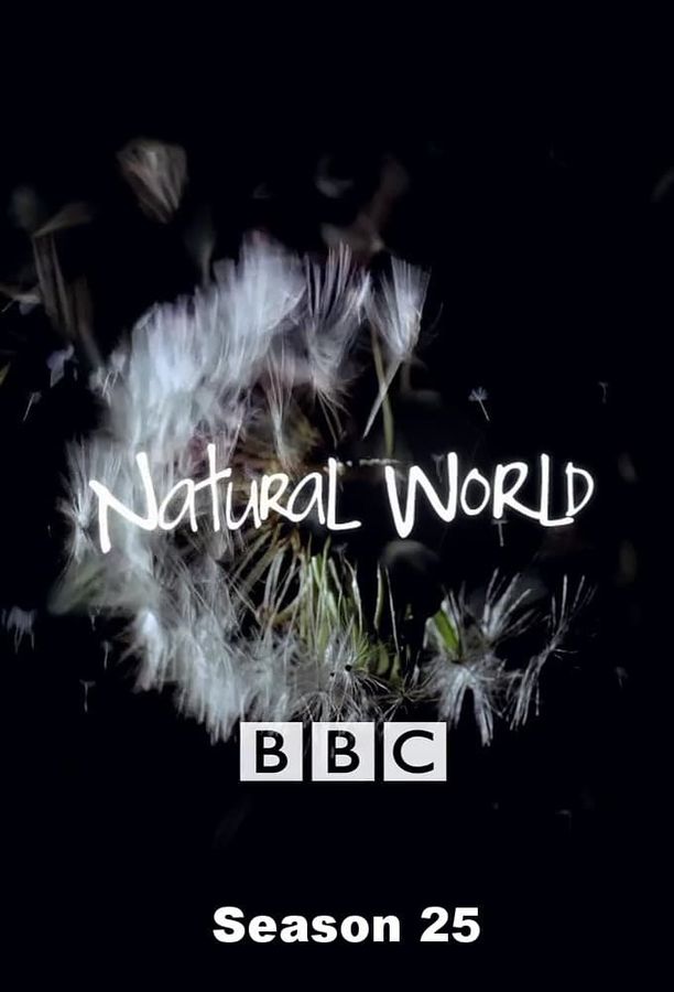 自然世界    第⁨二十五⁩季
    Natural World (2006)