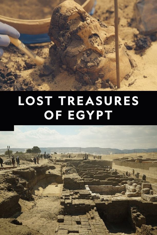 埃及失落宝藏    第⁨二⁩季
    Lost Treasures of Egypt (2020)