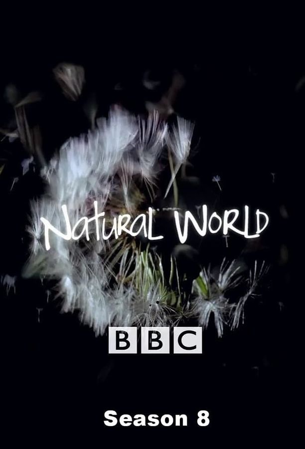 自然世界    第⁨八⁩季
    Natural World (1989)