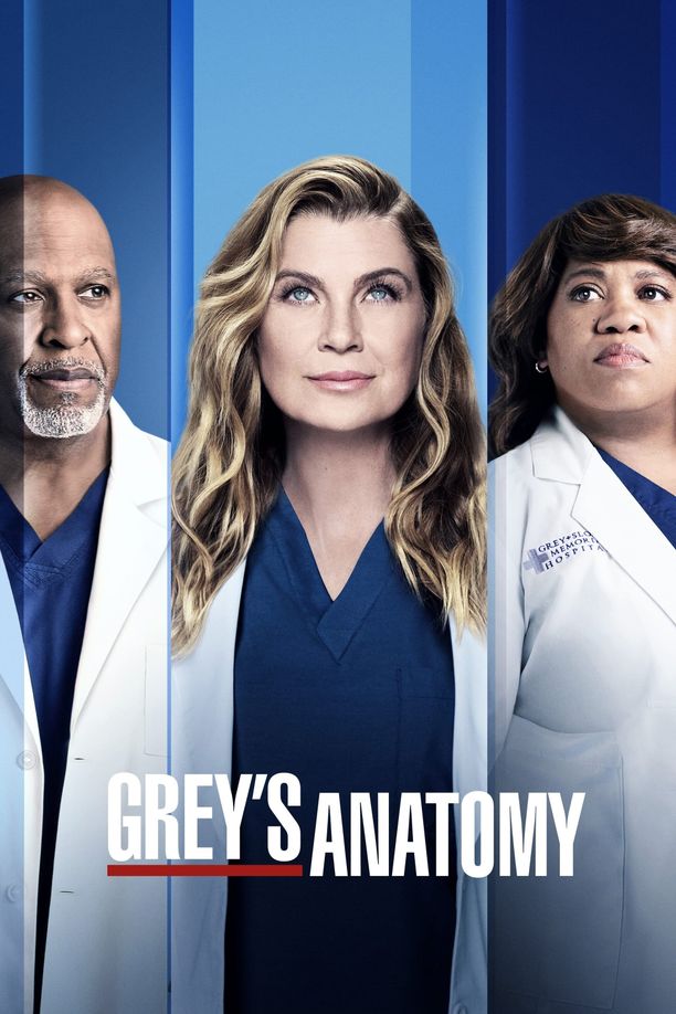 实习医生格蕾    第⁨十八⁩季
    Grey's Anatomy (2021)