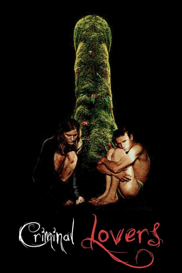 挑逗性谋杀Les Amants criminels (1999)