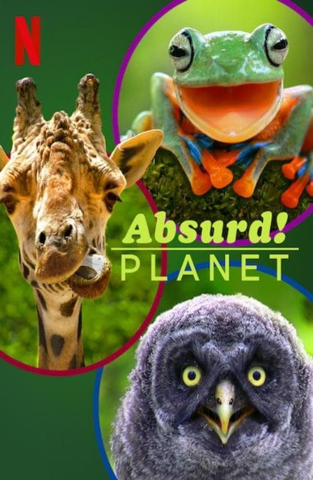 怪诞星球    第⁨一⁩季
    Absurd Planet (2020)