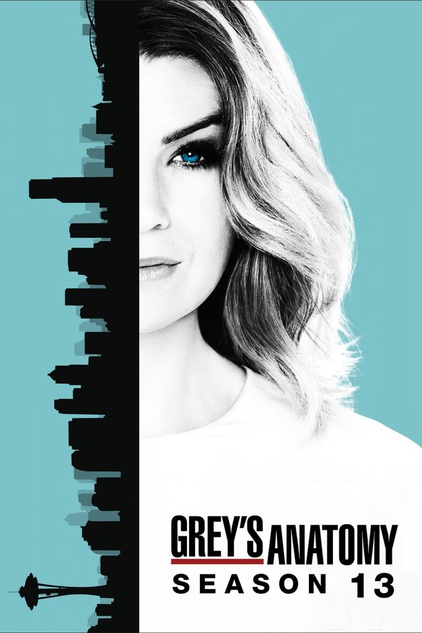 实习医生格蕾    第⁨十三⁩季
    Grey's Anatomy (2016)
