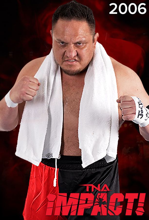 Impact Wrestling    第⁨三⁩季
    TNA iMPACT! (2006)