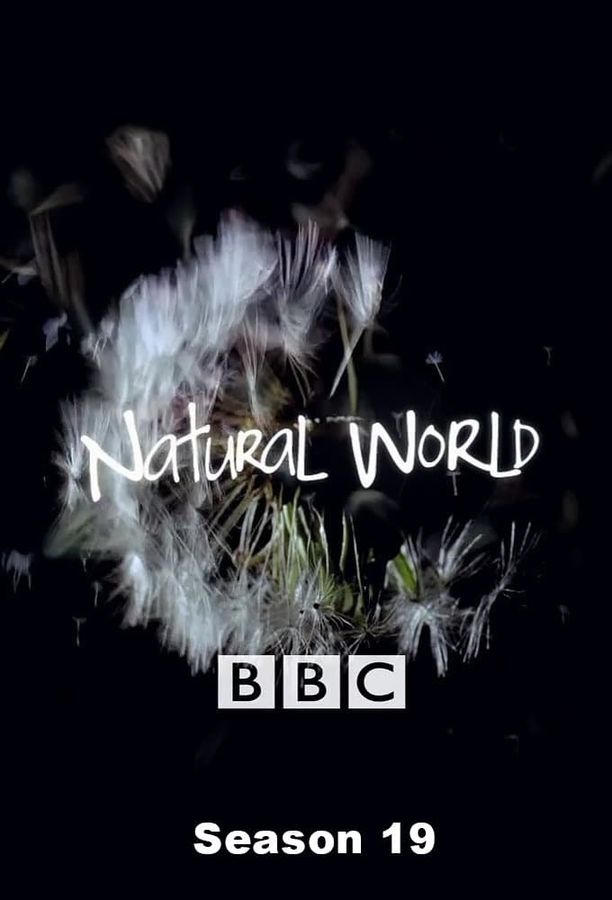 自然世界    第⁨十九⁩季
    Natural World (2000)