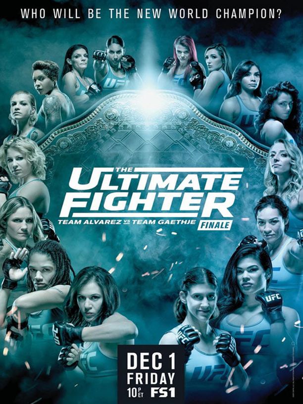 The Ultimate Fighter    第⁨二十六⁩季
     (2017)