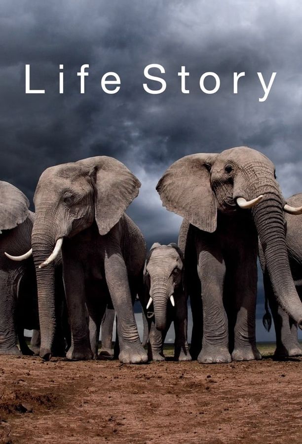 生命故事Life Story (2014)