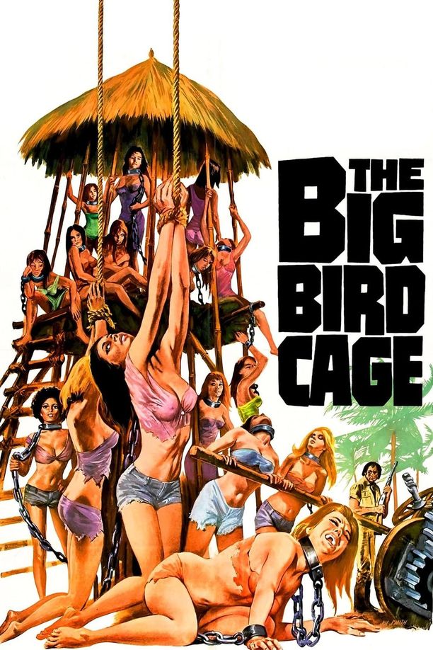 大鸟笼The Big Bird Cage (1972)