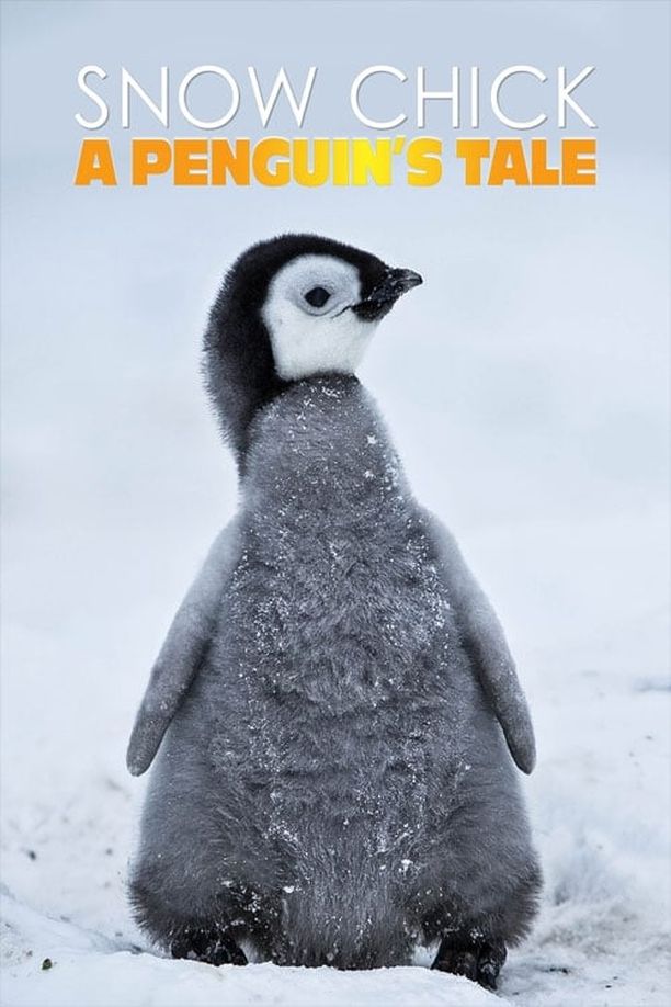 帝企鹅宝宝的生命轮回之旅Snow Chick - A Penguin's Tale (2015)