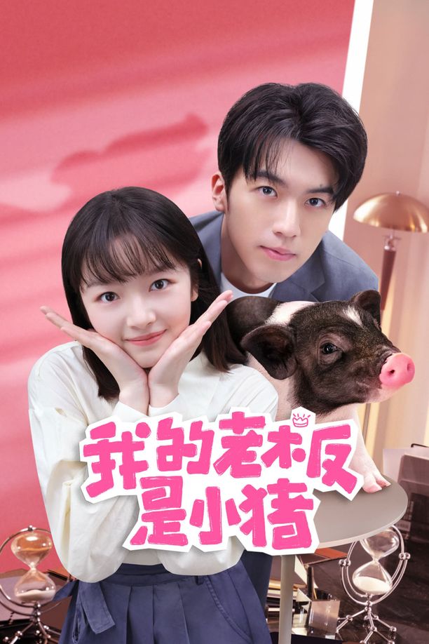 我的老板是小猪    第⁨一⁩季
     (2024)