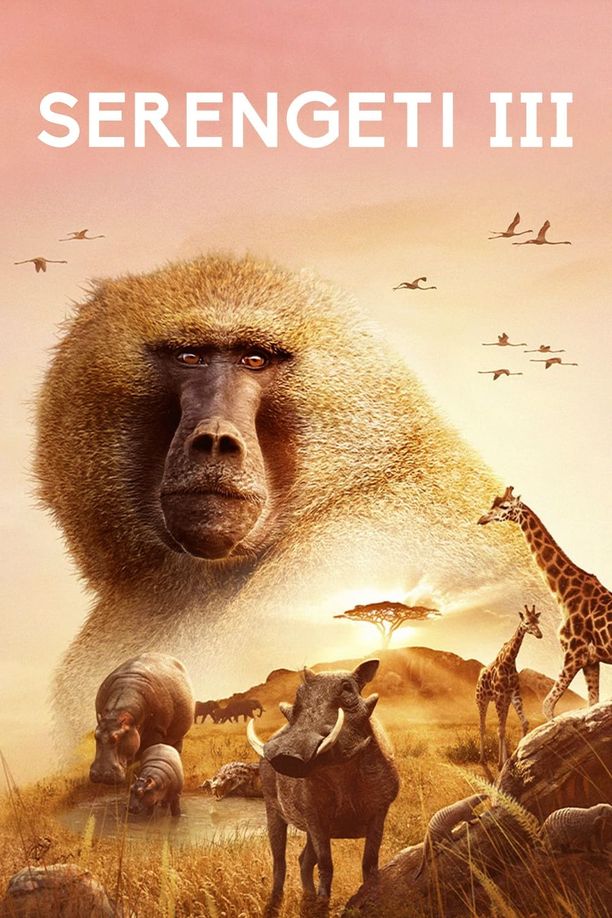 塞伦盖蒂    第⁨三⁩季
    Serengeti (2023)