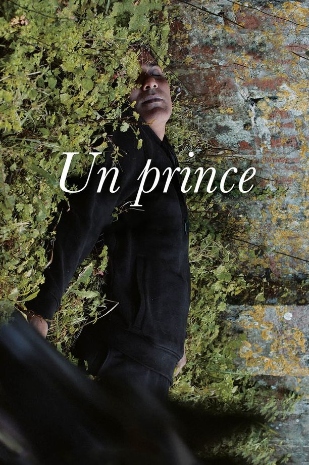 王子Un prince (2023)