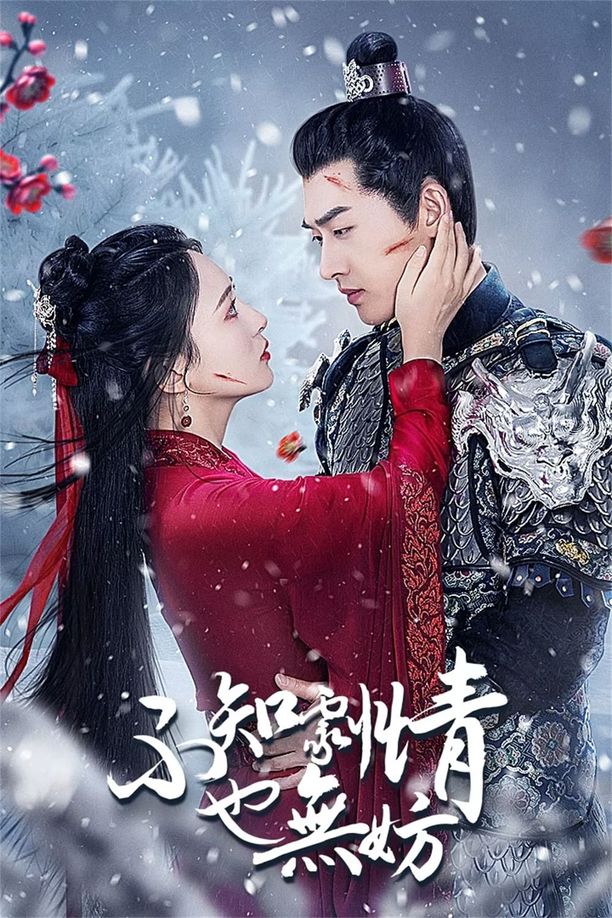 不知剧情也无妨    第⁨一⁩季
     (2024)