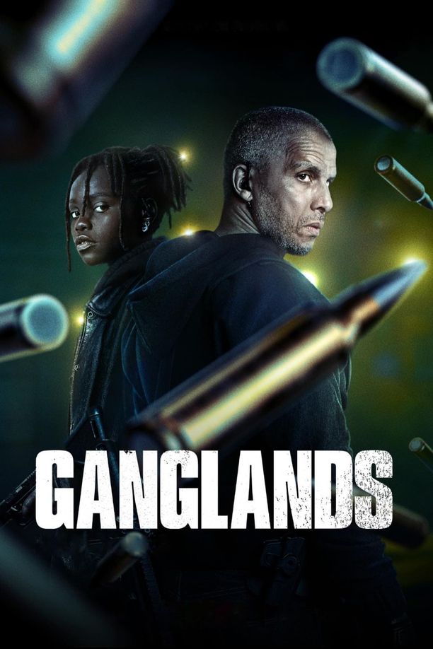 黑帮之境Braqueurs : La série (2021)