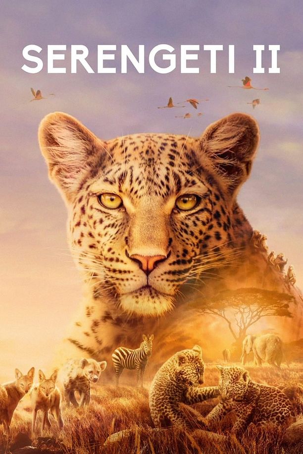 塞伦盖蒂    第⁨二⁩季
    Serengeti (2021)