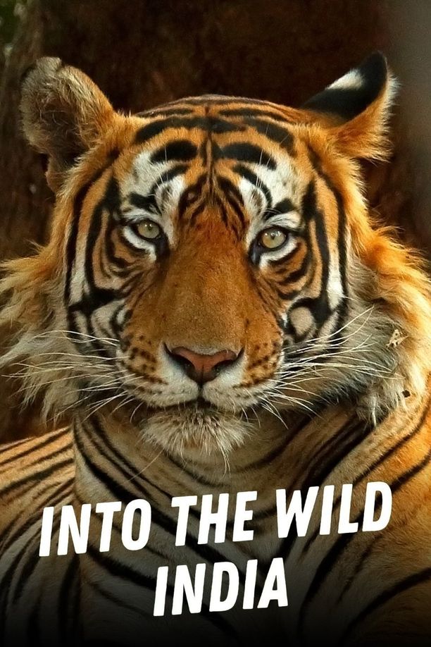 深入印度Into the Wild: India (2020)