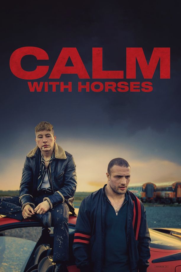 倚马而息Calm with Horses (2020)