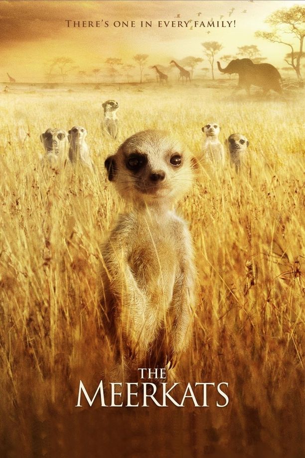 蒙哥The Meerkats (2008)