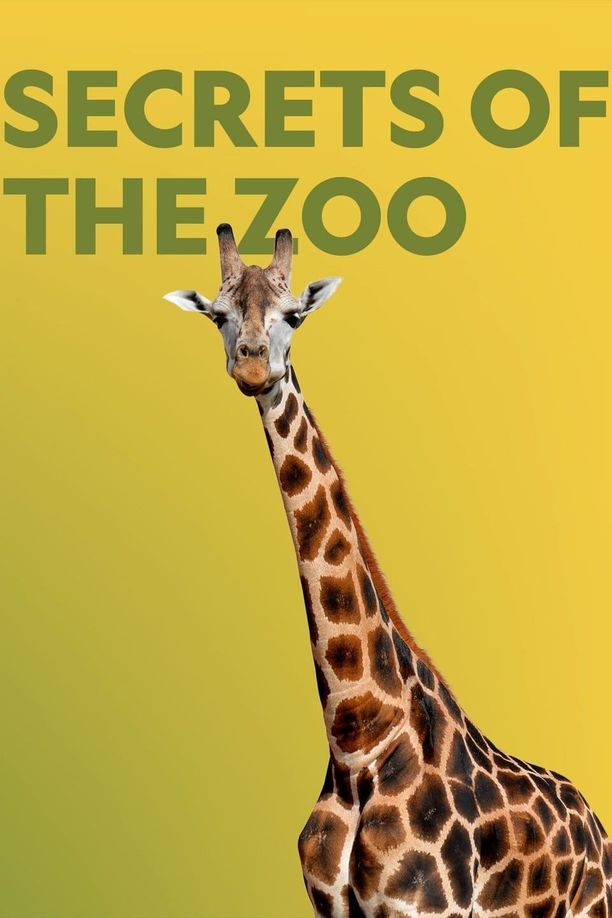 动物园秘辛    第⁨二⁩季
    Secrets of the Zoo (2019)