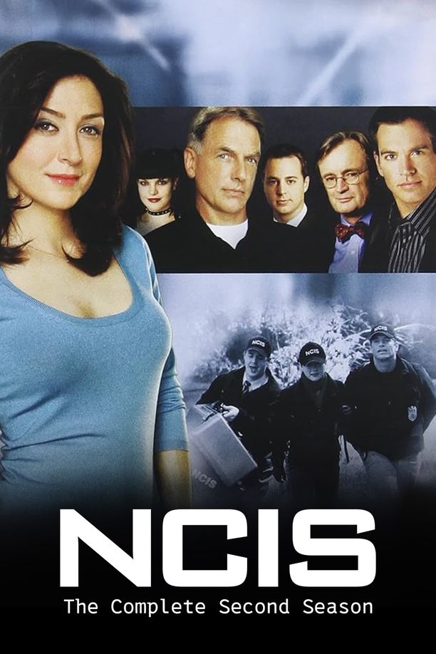 海军罪案调查处    第⁨二⁩季
    NCIS (2004)