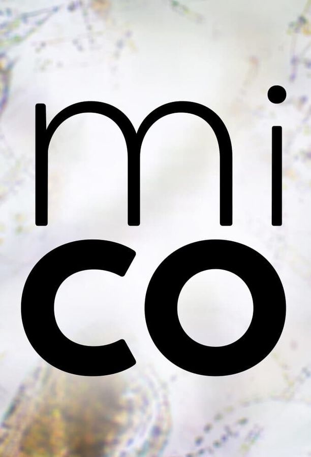 Journey to the Microcosmos    第⁨七⁩季
     (2023)