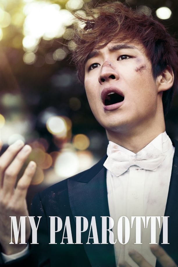 我的帕瓦罗蒂파파로티 (2013)