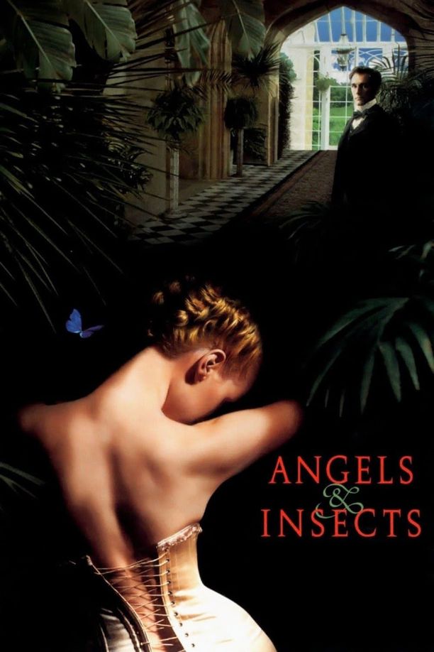 天使与昆虫Angels and Insects (1995)