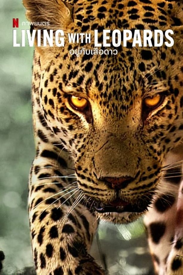 幼豹成长记Living with Leopards (2024)