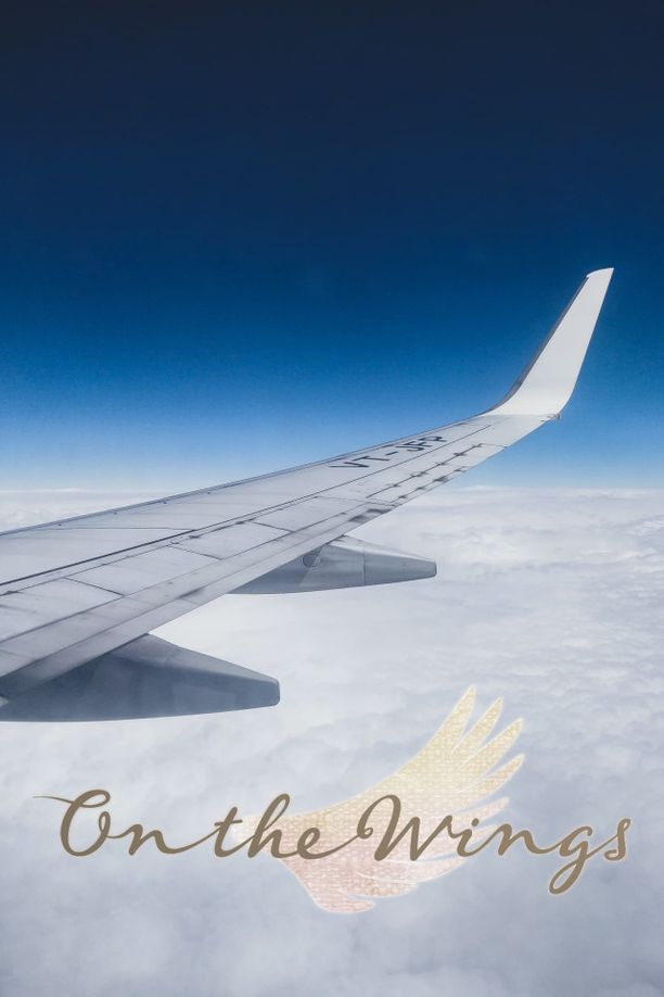 On the Wings    第⁨一⁩季
     (2022)
