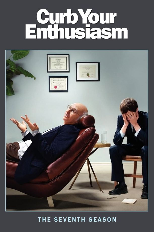 抑制热情    第⁨七⁩季
    Curb Your Enthusiasm (2009)
