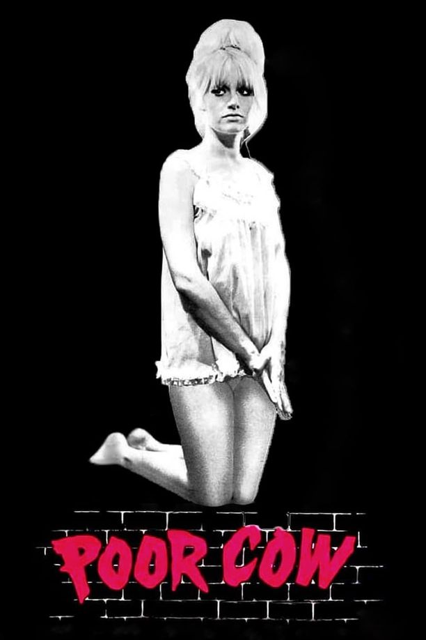 可怜的母牛Poor Cow (1967)