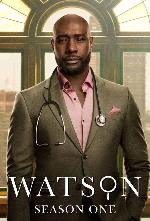华生后记    第⁨一⁩季
    Watson (2025)
