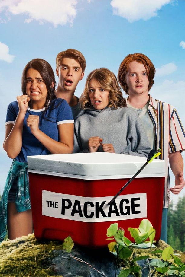 我的宝贝在哪里The Package (2018)