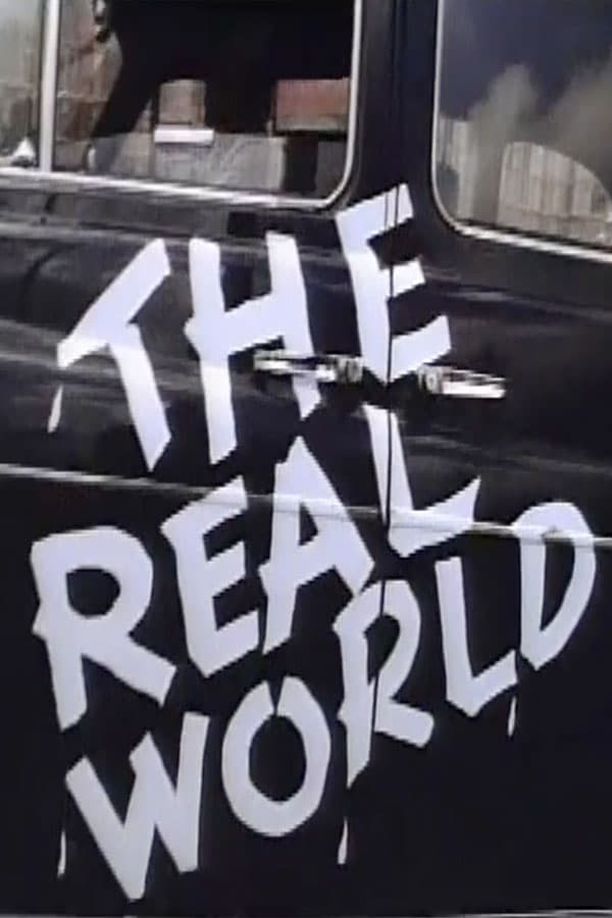 The Real World    第⁨四⁩季
     (1995)