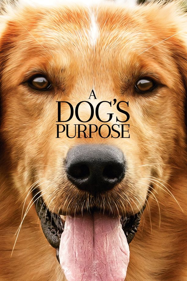 一条狗的使命A Dog's Purpose (2017)