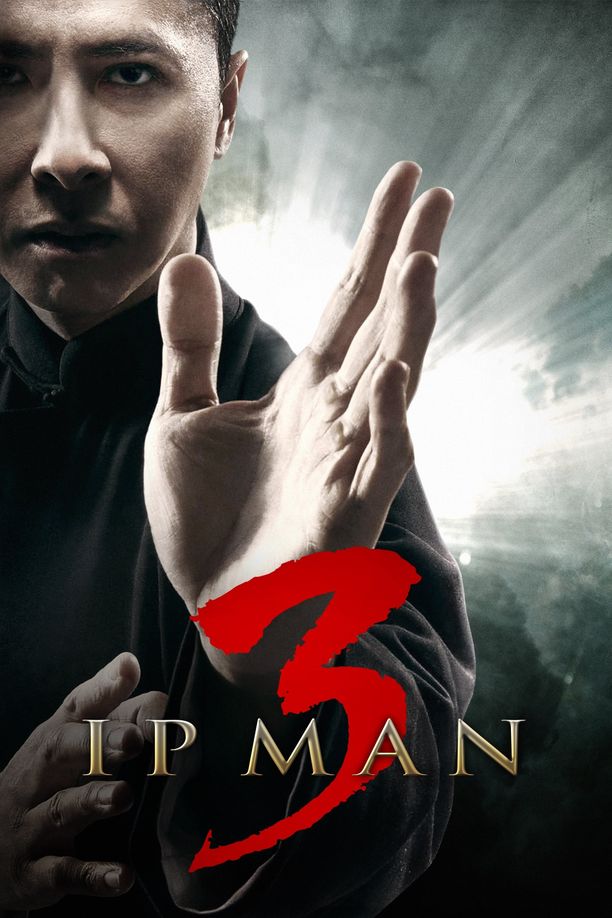 叶问3葉問3 (2015)