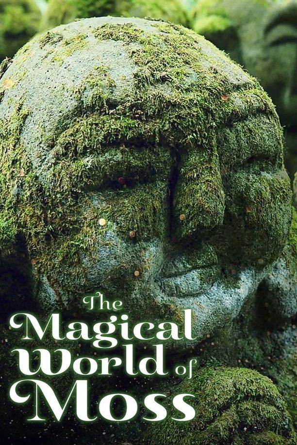 奇妙的苔藓世界Sa Majesté les mousses (2023)