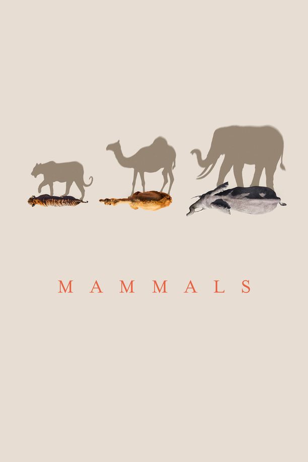 哺乳动物星球Mammals (2024)