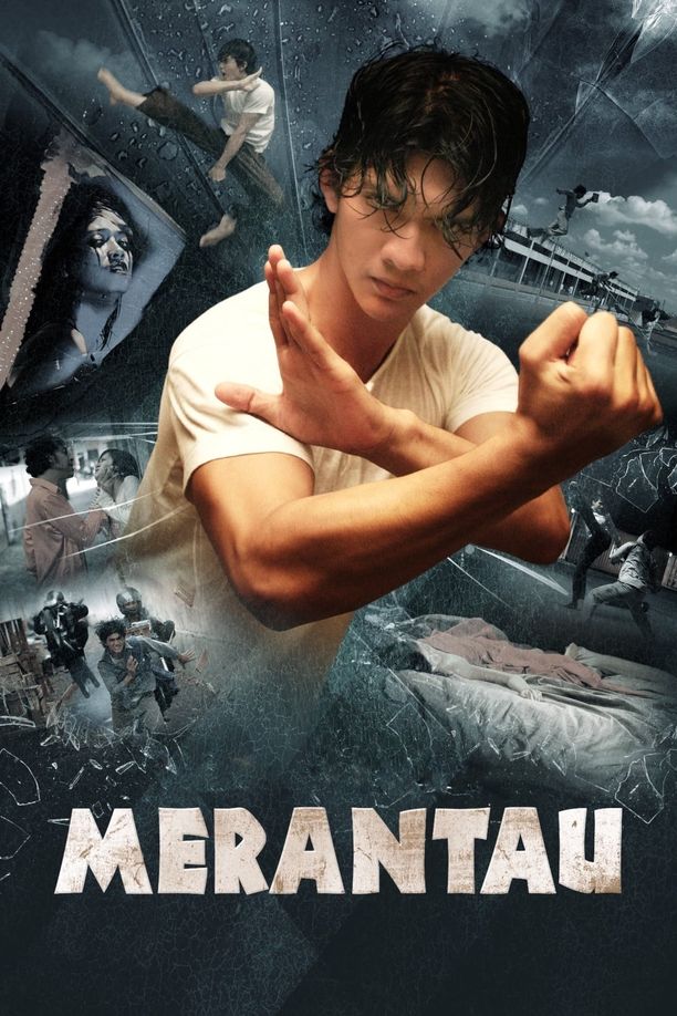 精武战士Merantau (2009)