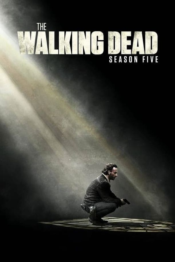 行尸走肉    第⁨五⁩季
    The Walking Dead (2014)