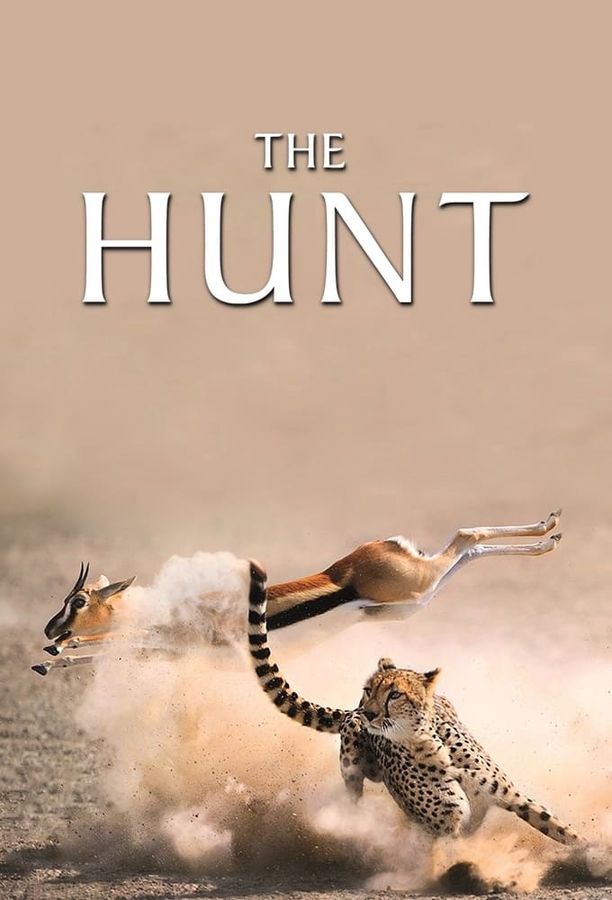猎捕The Hunt (2015)