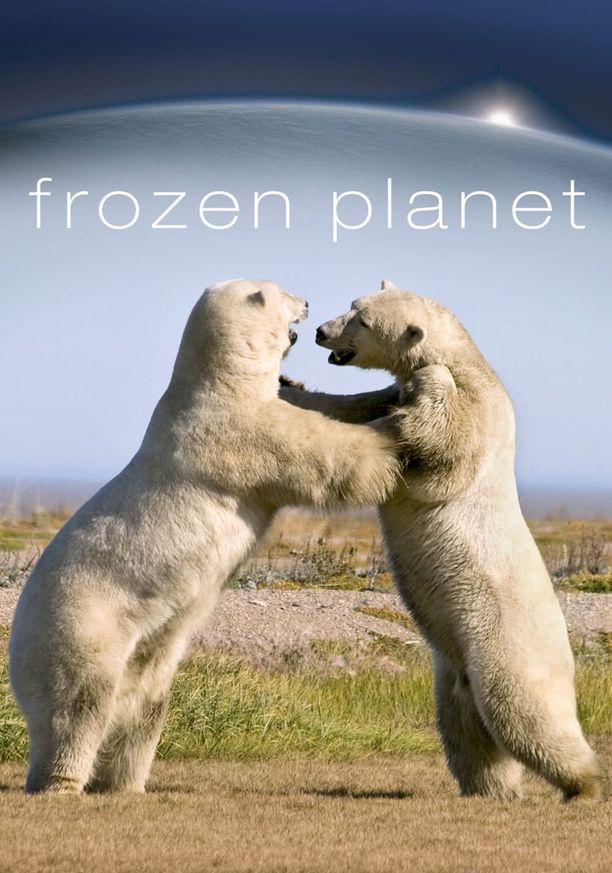 冰冻星球    第⁨一⁩季
    Frozen Planet (2011)