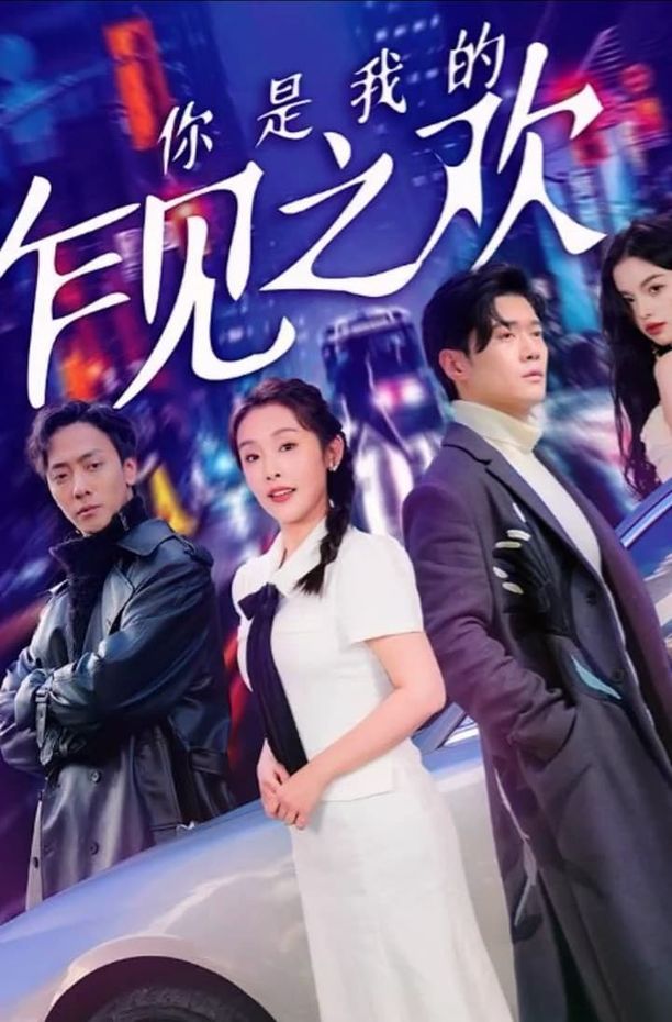 你是我的乍见之欢    第⁨壹⁩季
     (2023)