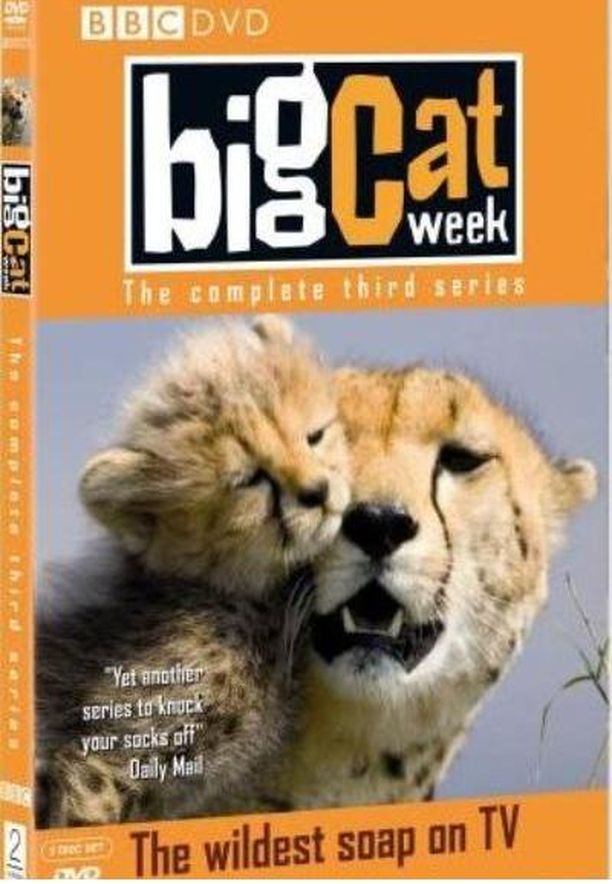 大猫日记    第⁨二千零七⁩季
    Big Cat Week (2004)