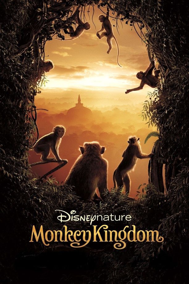 猴子王国Monkey Kingdom (2015)