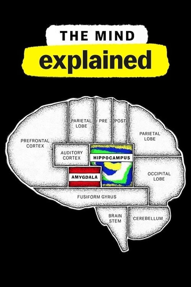 头脑解密    第⁨二⁩季
    The Mind, Explained (2021)