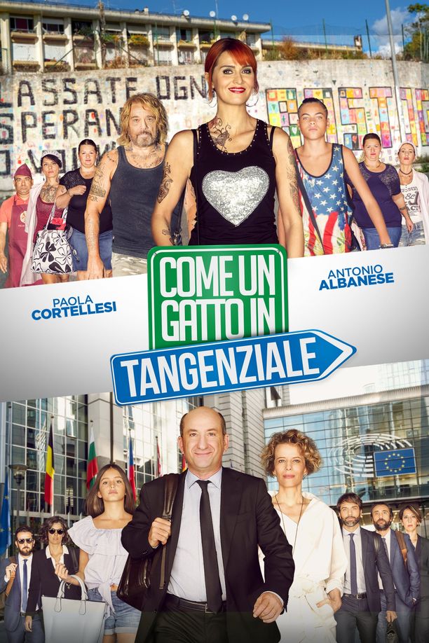 高速路上一只猫Come un gatto in tangenziale (2017)