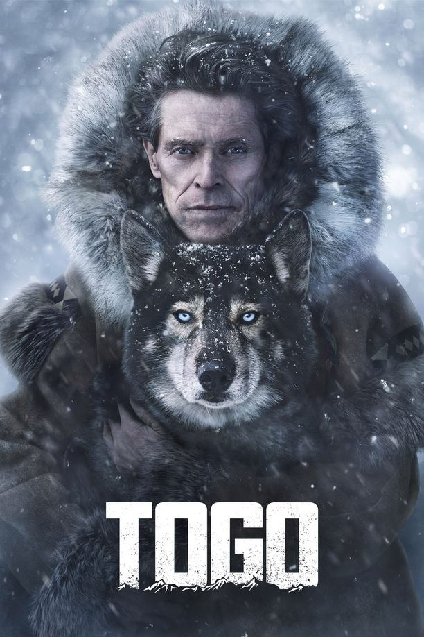 多哥Togo (2019)